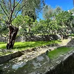 Blue Garden