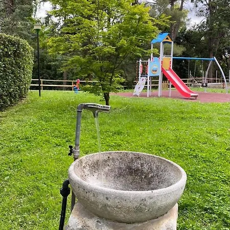 Blue Garden *